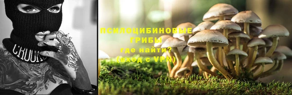 мет Абаза