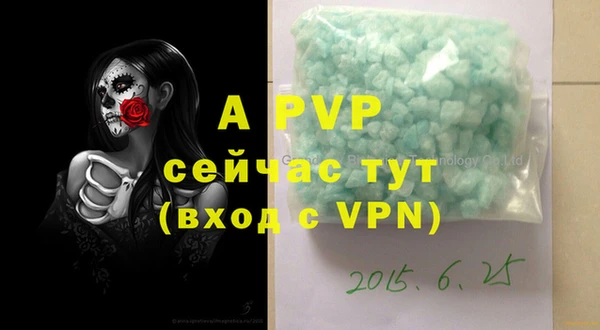 индика Алексин