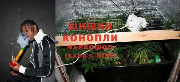 PSILOCYBIN Абинск