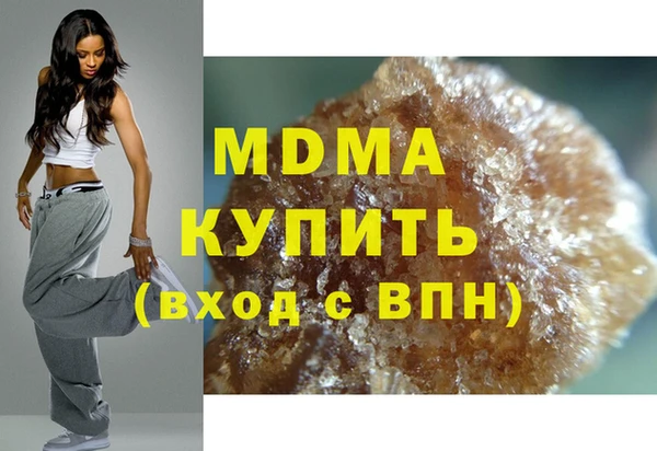 индика Алексин