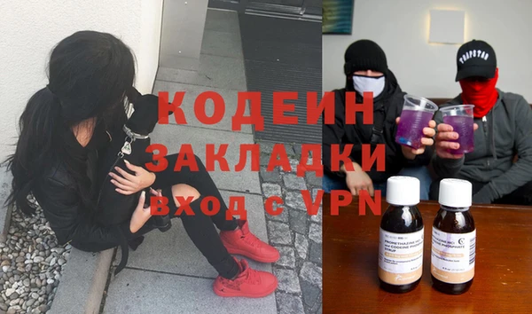 ПСИЛОЦИБИНОВЫЕ ГРИБЫ Алзамай