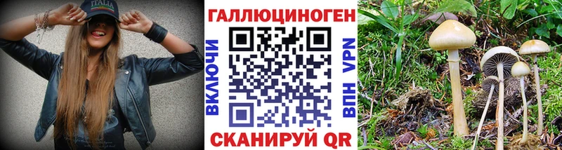 где продают наркотики  Сургут  блэк спрут вход  Псилоцибиновые грибы прущие грибы 