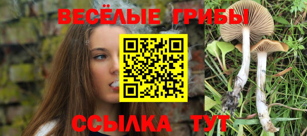 Галлюциногенные грибы Psilocybe  Вход с VPN  Галлюциногенные грибы мицелий  Сургут 