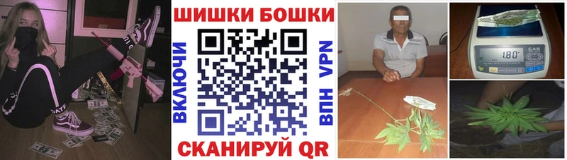 как найти наркотики  Сургут  МАРИХУАНА MAZAR 